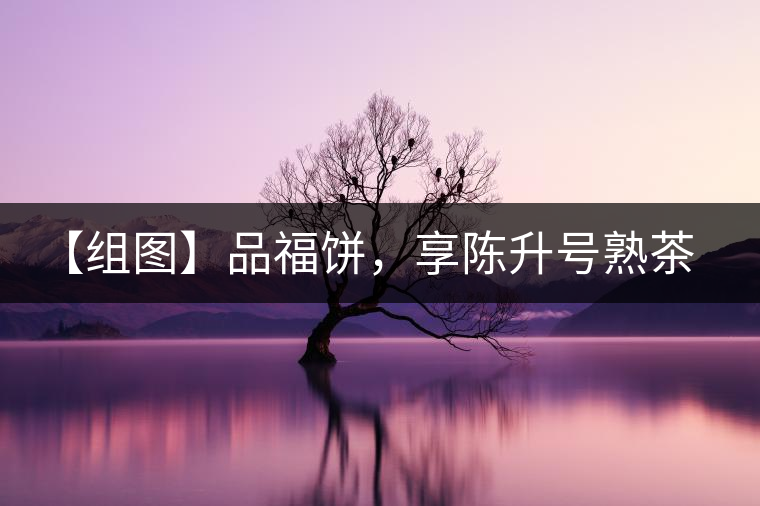 【組圖】品福餅，享陳升號熟茶滋味