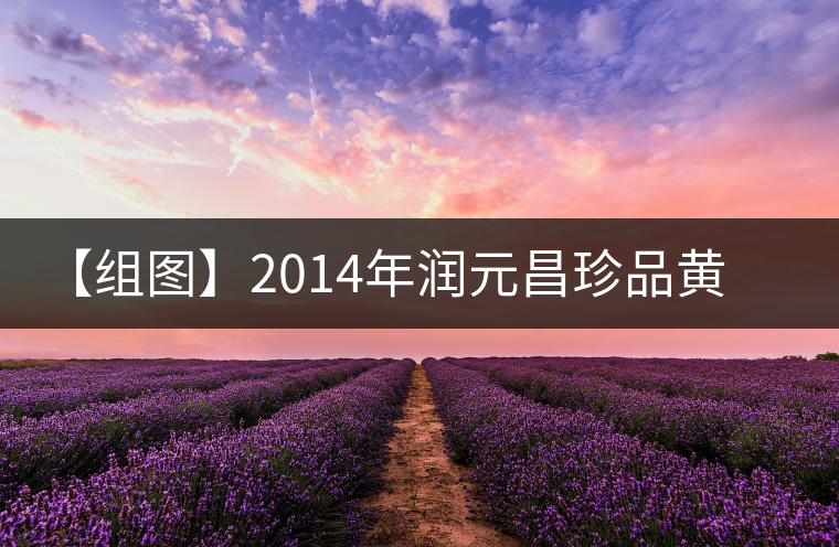 【組圖】2014年潤元昌珍品黃印開湯 【組圖】2014年潤元昌珍品黃印開湯