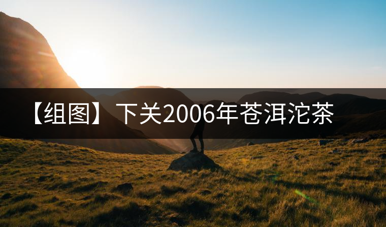 【組圖】下關(guān)2006年蒼洱沱茶開湯