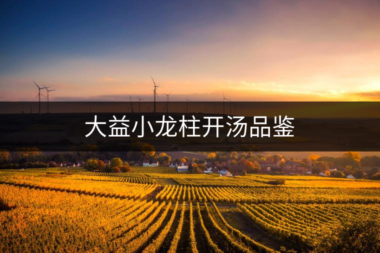 大益小龍柱開(kāi)湯品鑒 大益小龍柱開(kāi)湯品鑒