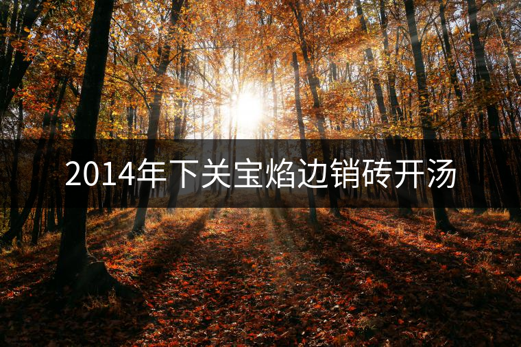 2014年下關(guān)寶焰邊銷磚開湯