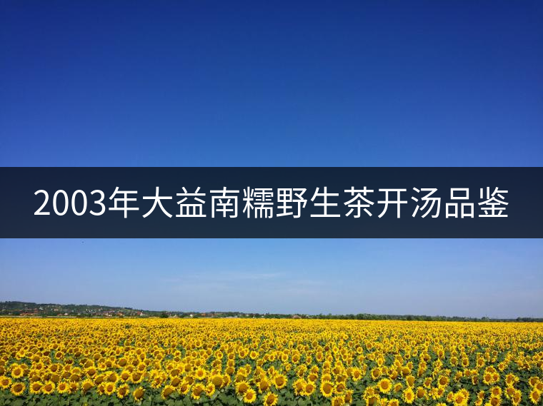 2003年大益南糯野生茶開(kāi)湯品鑒 2003年大益南糯野生茶開(kāi)湯品鑒