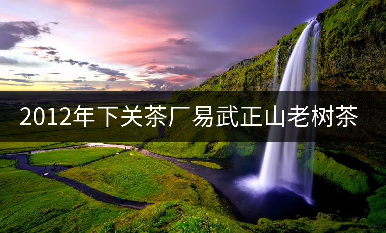 2012年下關(guān)茶廠易武正山老樹(shù)茶開(kāi)湯品鑒 2012年下關(guān)茶廠易武正山老樹(shù)茶開(kāi)湯品鑒