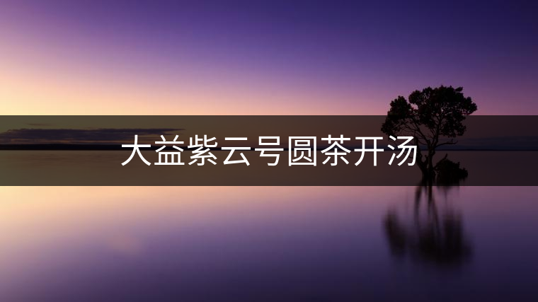 大益紫云號圓茶開湯 大益紫云號圓茶開湯