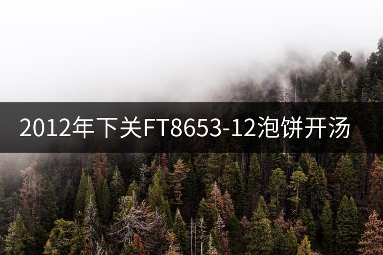 2012年下關(guān)FT8653-12泡餅開湯品鑒 2012年下關(guān)FT8653-12泡餅開湯品鑒