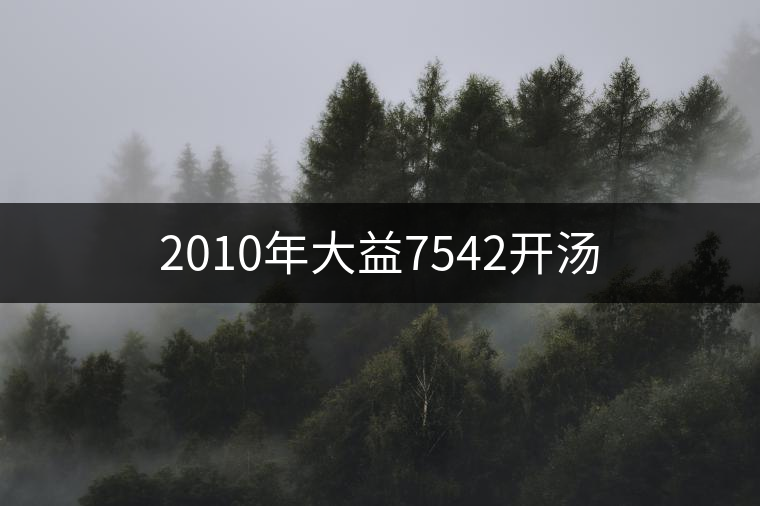2010年大益7542開湯 2010年大益7542開湯