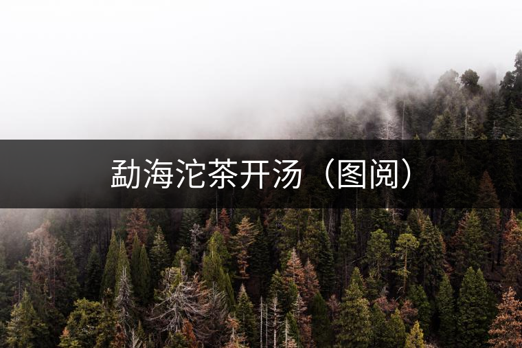 勐海沱茶開湯（圖閱）