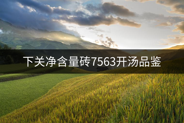 下關凈含量磚7563開湯品鑒 下關凈含量磚7563開湯品鑒