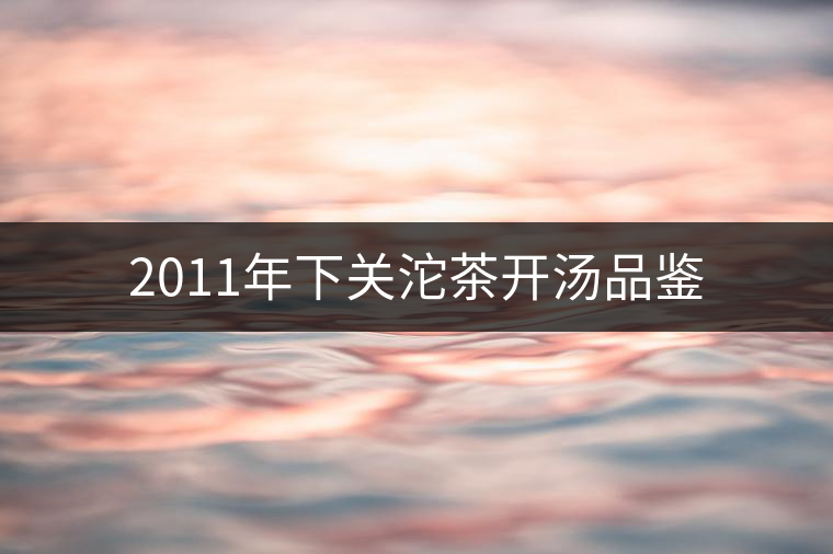 2011年下關(guān)沱茶開(kāi)湯品鑒 2011年下關(guān)沱茶開(kāi)湯品鑒