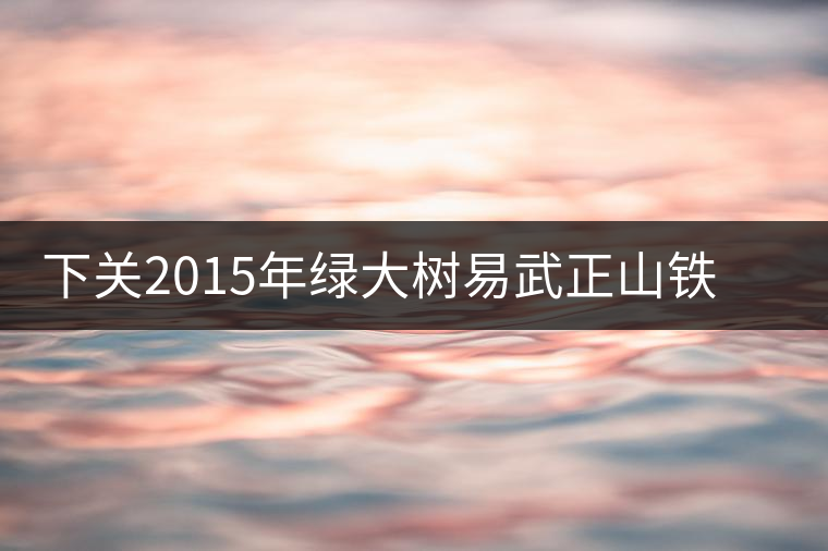 下關(guān)2015年綠大樹(shù)易武正山鐵餅開(kāi)湯品鑒 下關(guān)2015年綠大樹(shù)易武正山鐵餅開(kāi)湯品鑒