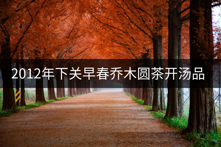 2012年下關(guān)早春?jiǎn)棠緢A茶開(kāi)湯品鑒 2012年下關(guān)早春?jiǎn)棠緢A茶開(kāi)湯品鑒