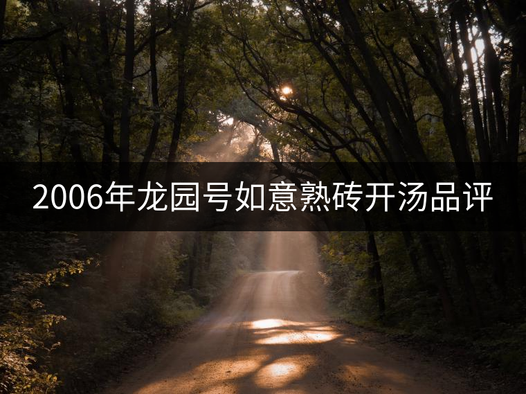 2006年龍園號(hào)如意熟磚開(kāi)湯品評(píng) 2006年龍園號(hào)如意熟磚開(kāi)湯品評(píng)