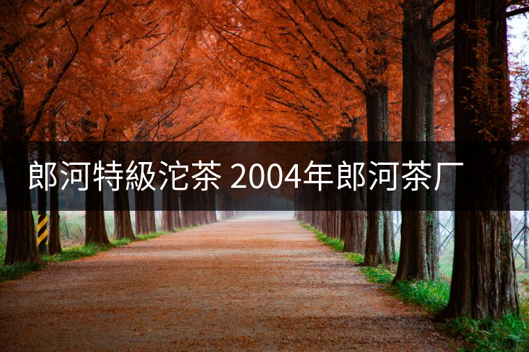 郎河特級(jí)沱茶 2004年郎河茶廠特級(jí)普洱茶沱茶 郎河特級(jí)沱茶 2004年郎河茶廠特級(jí)普洱茶沱茶