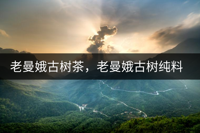 老曼娥古樹茶，老曼娥古樹純料生餅