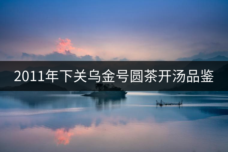 2011年下關(guān)烏金號(hào)圓茶開(kāi)湯品鑒 2011年下關(guān)烏金號(hào)圓茶開(kāi)湯品鑒