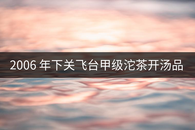 2006 年下關(guān)飛臺(tái)甲級(jí)沱茶開(kāi)湯品鑒