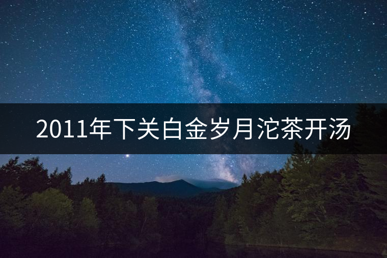 2011年下關(guān)白金歲月沱茶開湯 2011年下關(guān)白金歲月沱茶開湯