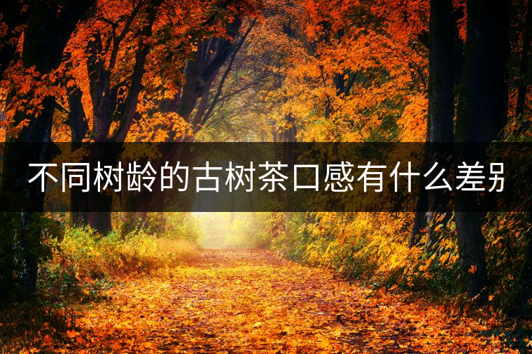 不同樹(shù)齡的古樹(shù)茶口感有什么差別？