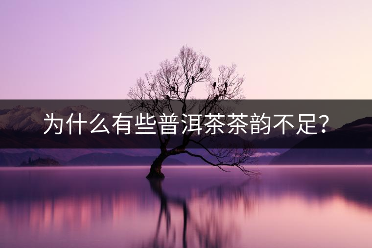 為什么有些普洱茶茶韻不足？