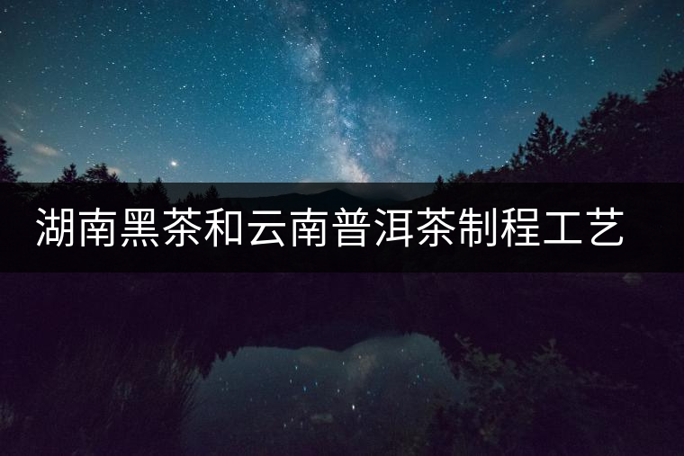 湖南黑茶和云南普洱茶制程工藝對比