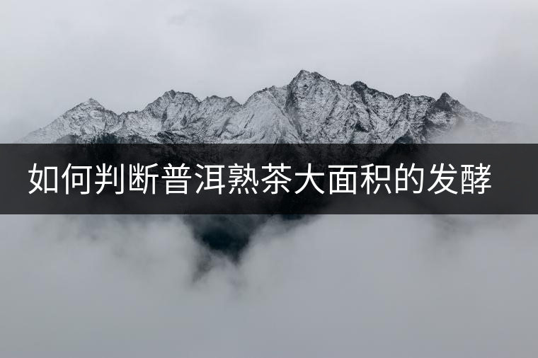 如何判斷普洱熟茶大面積的發(fā)酵過(guò)度？