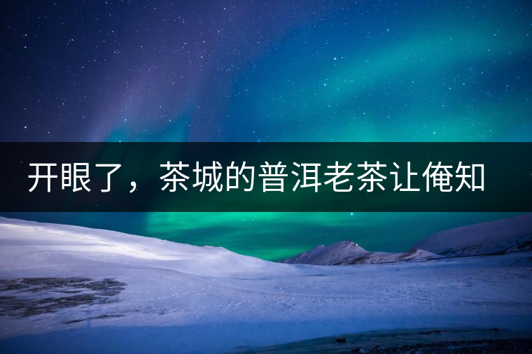 開(kāi)眼了，茶城的普洱老茶讓俺知道了老茶樹(shù)