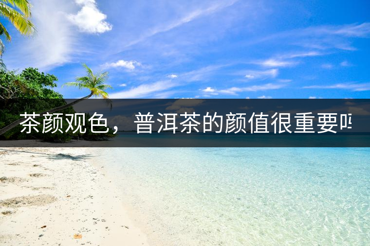 茶顏觀色，普洱茶的顏值很重要嗎？