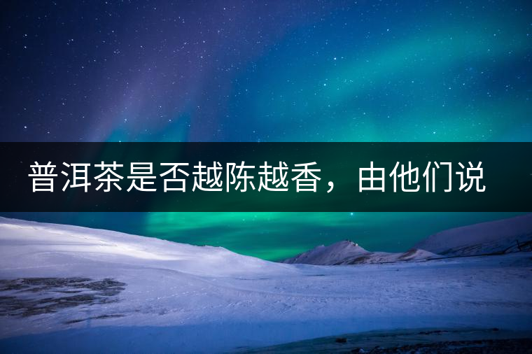 普洱茶是否越陳越香，由他們說了算