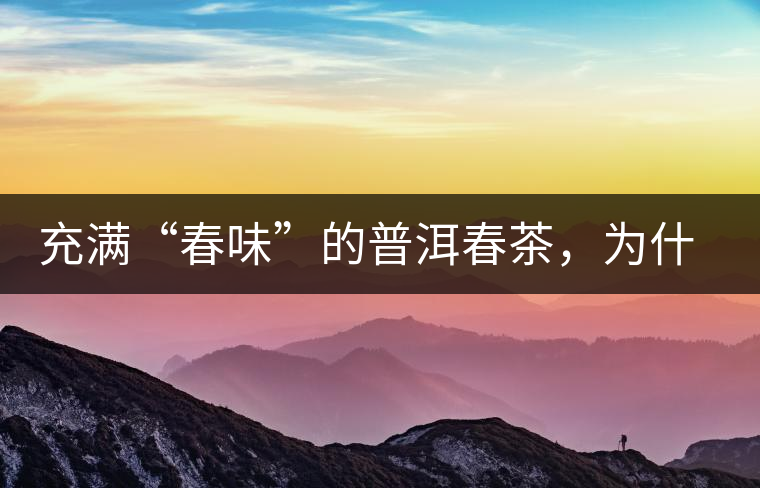 充滿“春味”的普洱春茶，為什么值得期待？