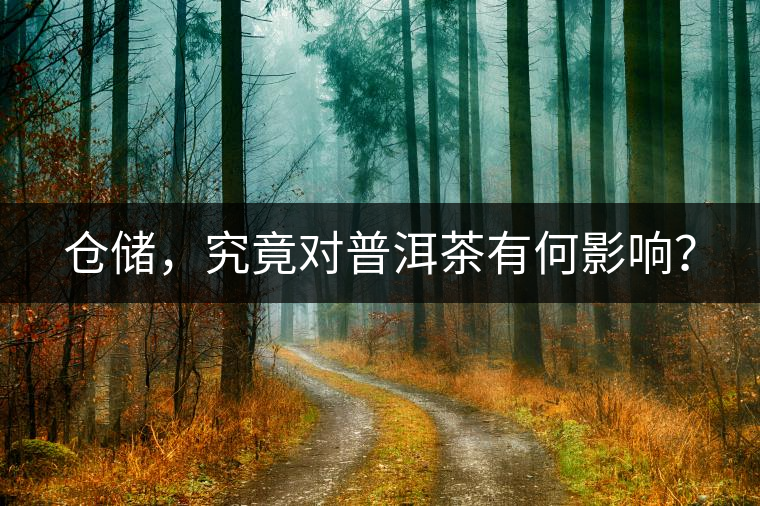 倉儲，究竟對普洱茶有何影響？