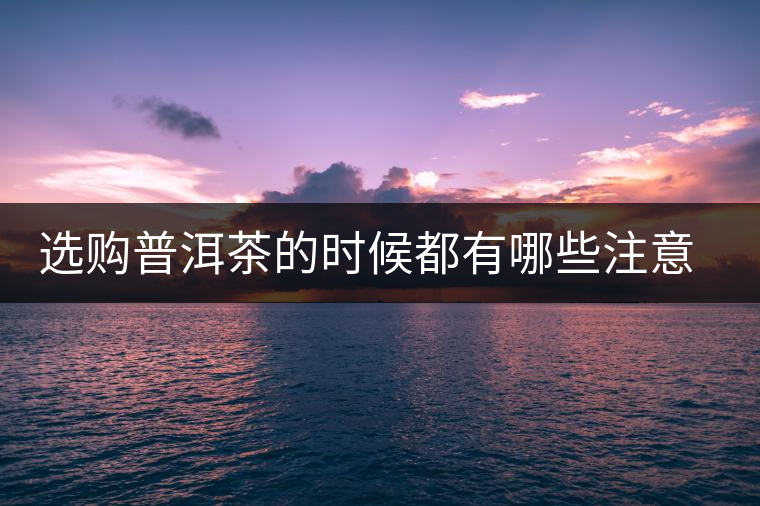 選購普洱茶的時候都有哪些注意事項？