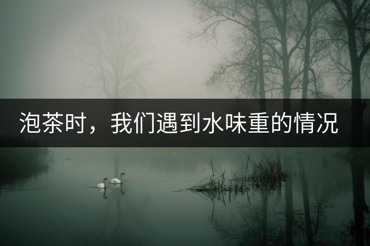 泡茶時，我們遇到水味重的情況是怎么回事呢?
