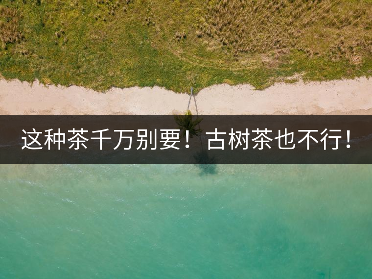 這種茶千萬(wàn)別要！古樹茶也不行！