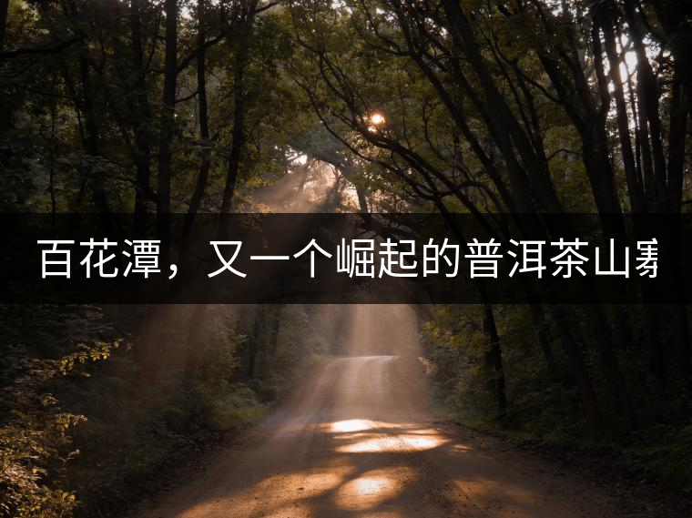 百花潭，又一個崛起的普洱茶山寨！