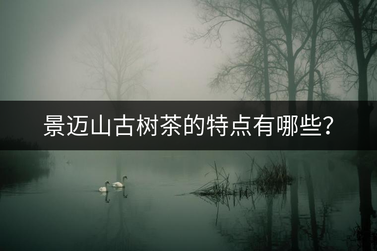 景邁山古樹茶的特點有哪些？