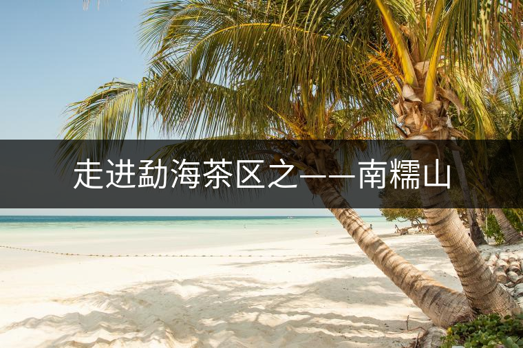 走進(jìn)勐海茶區(qū)之——南糯山 走進(jìn)勐海茶區(qū)之——南糯山