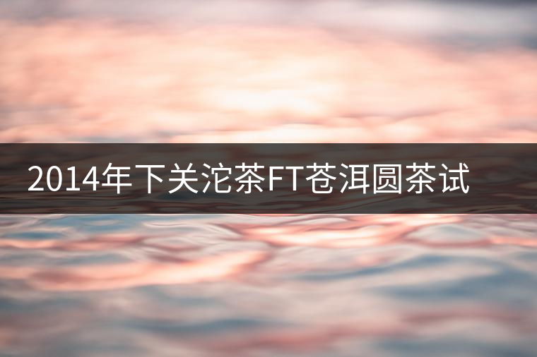 2014年下關(guān)沱茶FT蒼洱圓茶試用報(bào)告