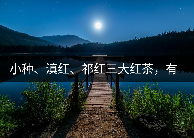 小種、滇紅、祁紅三大紅茶，有何區(qū)別