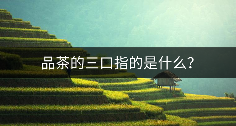 品茶的三口指的是什么？