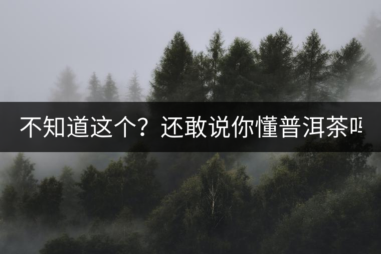 不知道這個？還敢說你懂普洱茶嗎？