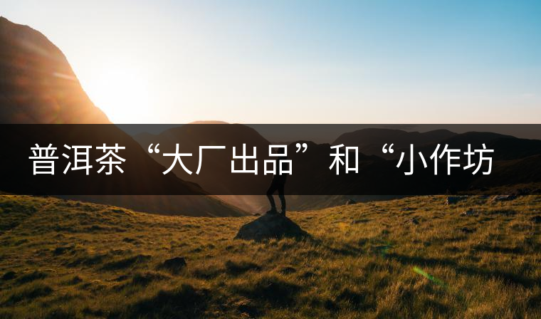普洱茶“大廠出品”和“小作坊”，哪一個(gè)更值得購買？