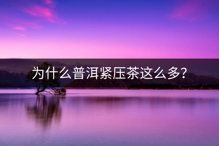 為什么普洱緊壓茶這么多？