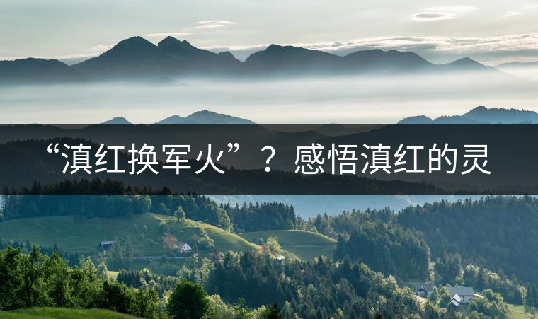 “滇紅換軍火”？感悟滇紅的靈與性！