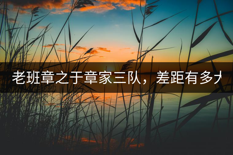 老班章之于章家三隊(duì)，差距有多大？