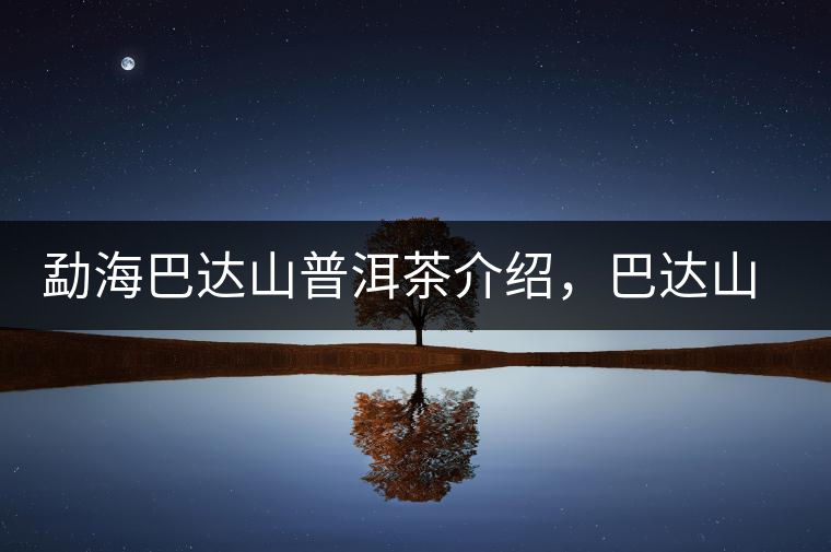 勐海巴達(dá)山普洱茶介紹，巴達(dá)山古樹茶口感特點(diǎn)