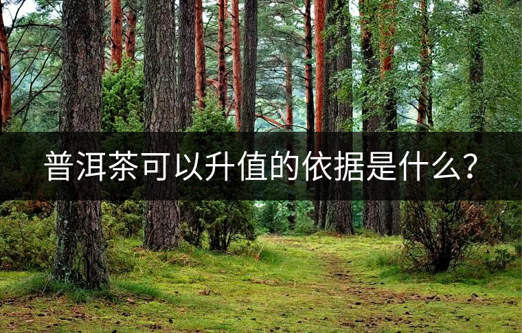 普洱茶可以升值的依據(jù)是什么？