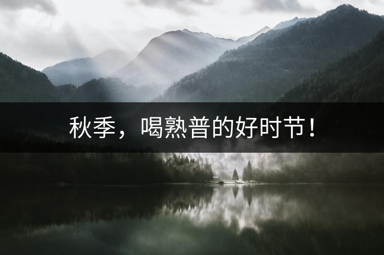 秋季，喝熟普的好時(shí)節(jié)！