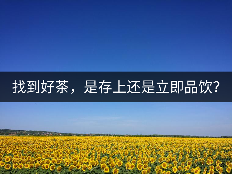 找到好茶，是存上還是立即品飲？