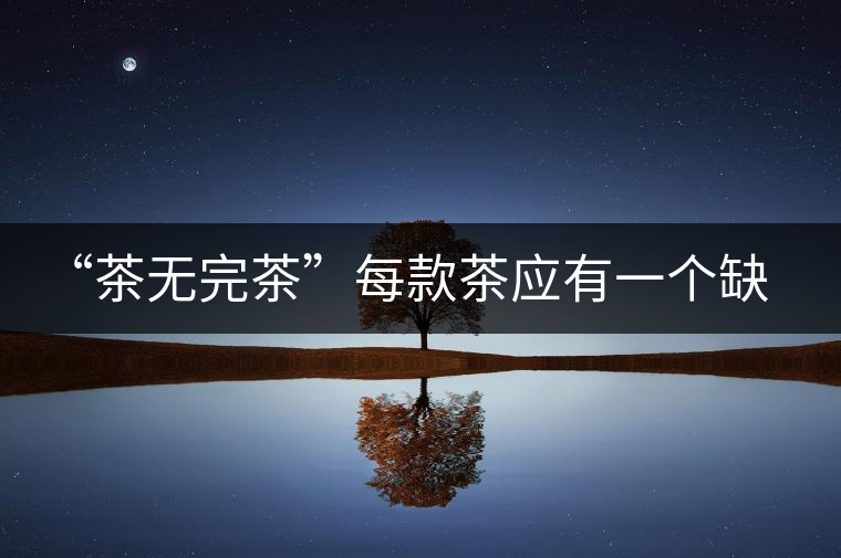 “茶無完茶”每款茶應有一個缺點！