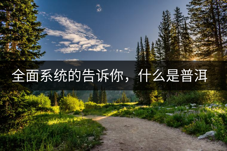 全面系統(tǒng)的告訴你，什么是普洱茶